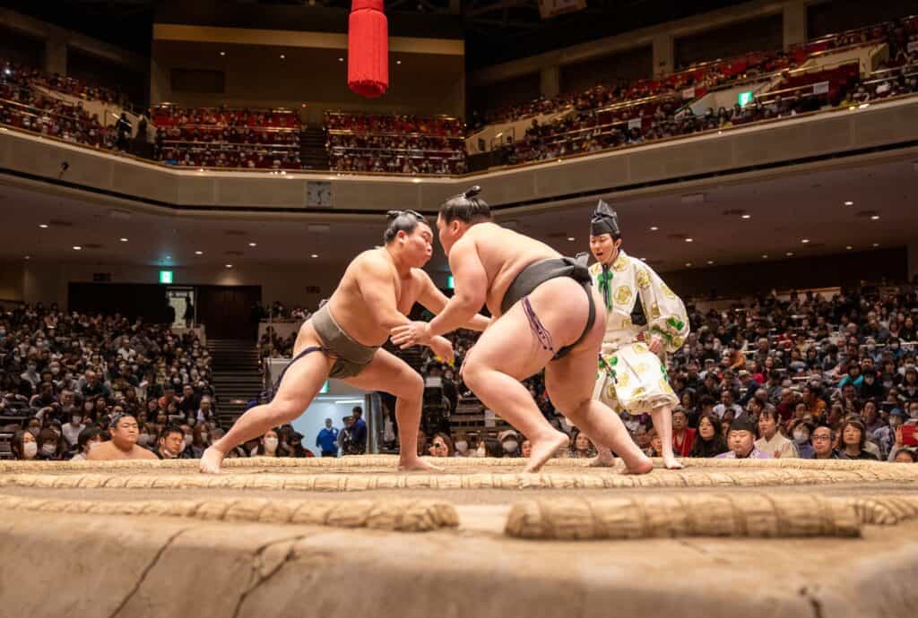 Sumo wrestler starting to fight