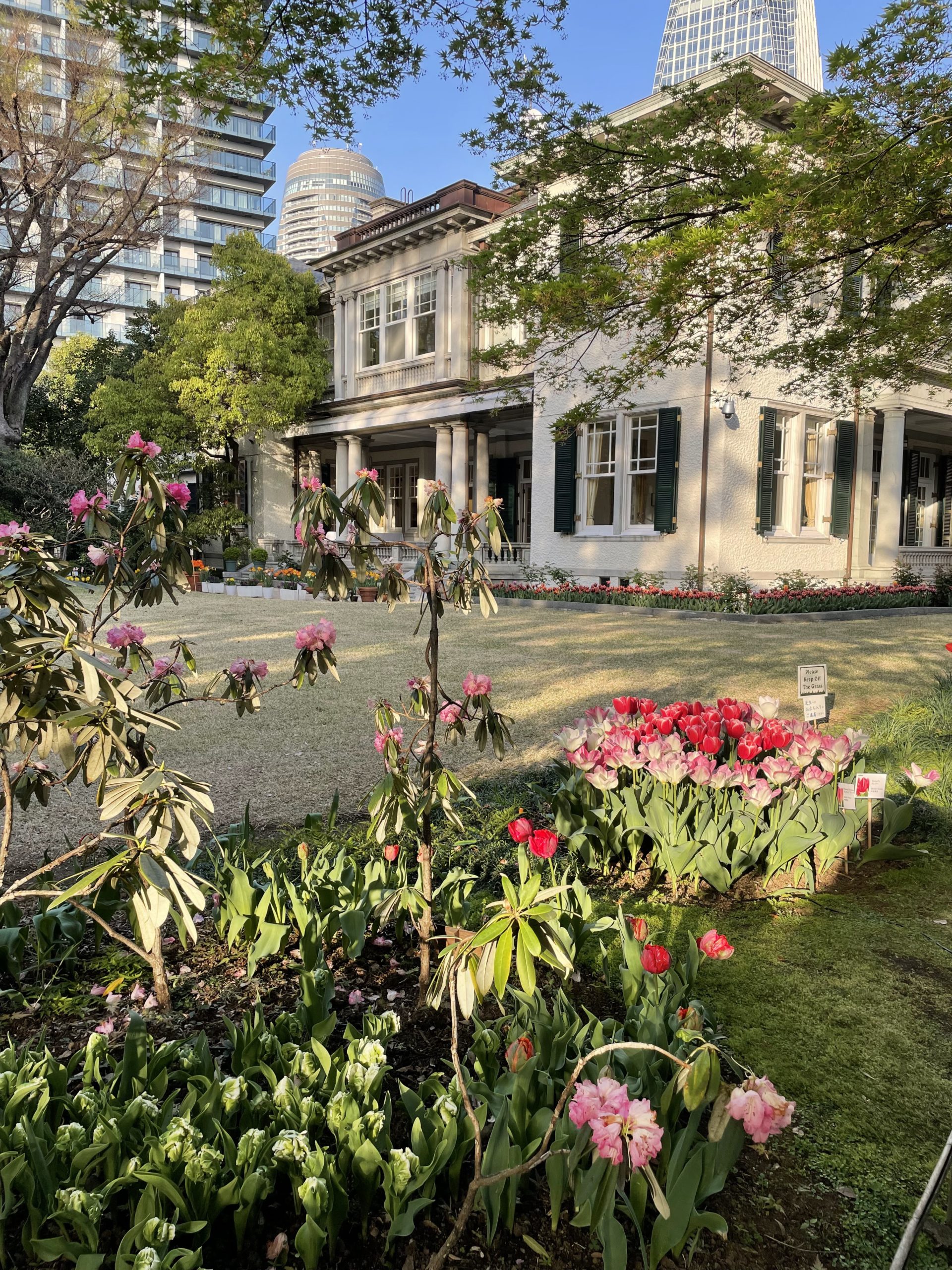 Dutch Ambassador's Residence and The Public Tulip Garden by Hersey Shiga