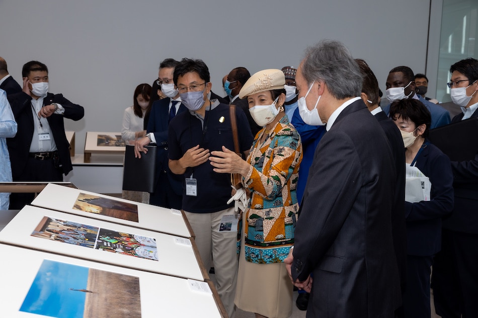 Her Imperial Highness Princess Hisako of Takamado wearing a jacket representing the natural scenery of Africa